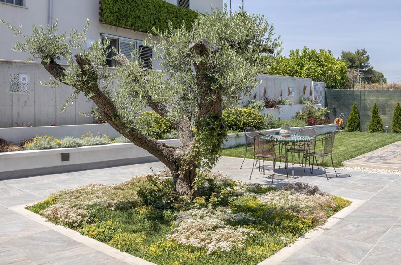Corte Lissa Termoli Exteriér fotografie